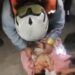 VIDEO: Mrekulli mes rrënojave të tërmetit në Venezuelë, foshnja 18-ditëshe shpëtohet e gjallë