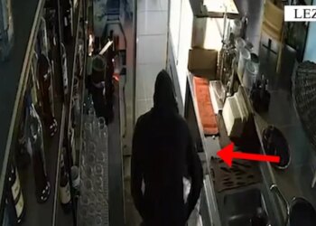 Vodhën xhirot ditore të 12 bizneseve në Lezhë; arrestohet 21-vjeçari, bashkëpunëtori në kërkim