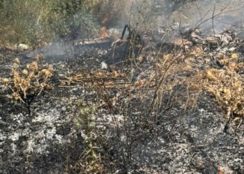 Zjarr afër varrezave në Gjirokastër, rrezikohej përhapja e flakëve drejt banesave të fshatit Zenelaj
