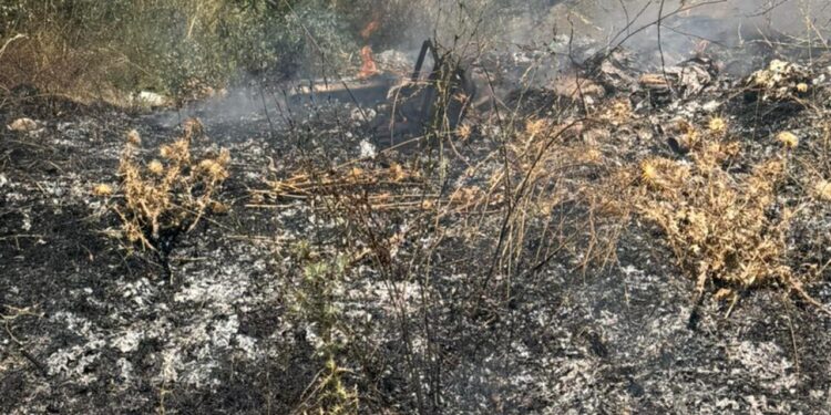 Zjarr afër varrezave në Gjirokastër, rrezikohej përhapja e flakëve drejt banesave të fshatit Zenelaj