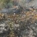 Zjarr afër varrezave në Gjirokastër, rrezikohej përhapja e flakëve drejt banesave të fshatit Zenelaj