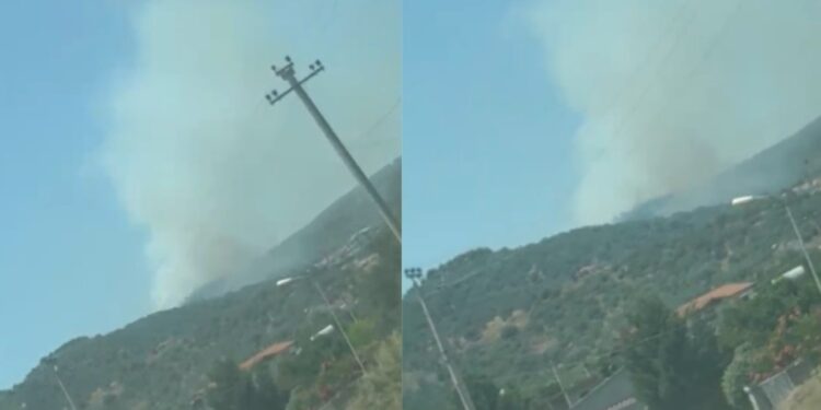 Zjarr i përmasave të mëdha në Llakatund të Vlorës, flakët jashtë kontrollit
