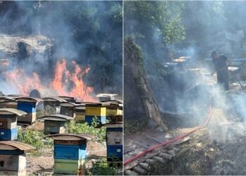 Zjarr në Gjirokastër kërcënon banesat e fshatit dhe kosheret e bletëve
