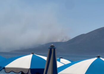 Zjarr në Karaburun: Përfshihet sipërfaqe e madhe pyjesh, tymi pushton vijën bregdetare