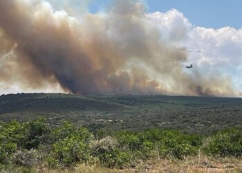 Zjarre masive në Kolorado të SHBA-së: tre zjarrfikës humbin jetën duke luftuar flakët, dy të tjerë plagosen