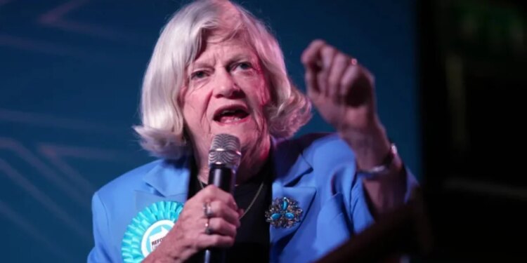 Ann Widdecombe u godit 21 herë me çekiç; prokurorët zbulojnë detaje për vrasjen e ish-deputetes