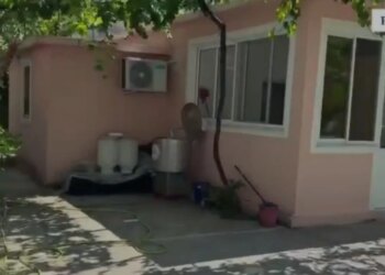 Arrestohet 62-vjeçari në Përmet, përshtati banesën si thertore dhe hidhte mbetjet në Vjosë; procedohen dy veterinerë