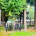 Deputetët e PS mbërrijnë në Kuvend, mes tyre Ulsi Manja para nisjes së seancës plenare