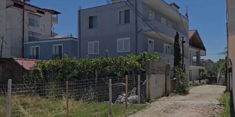 Dëshmia tronditëse e fqinjës: Kërkoi ndihmë, s’e njoha, gjakosur; 32-vjeçarja e plagosur nga ish-burri zbriti, ra te dera