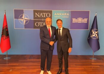 Dita e dytë e Samitit të NATO-s, Rama mbërrin në Ankara dhe takohet me shefin e NATO-s