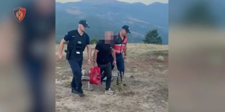 Dy operacione antidrogë në Kukës: arrestohet 34-vjeçari që kujdesej për kanabis, pranga për një të kërkuar