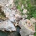 Dyshohet për një viktimë në Klos pas rrëzimit gjatë ngjitjes së shkëmbinjve pranë Urës së Vashës; vijojnë kërkimet