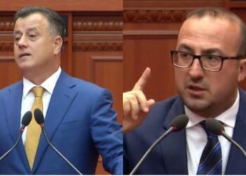 FOTOLAJM/ Nokës dhe Korreshit kryq i madh, anëtarë të këshillit kombëtar PD pakënaqur me dy kandidatët e Berishës