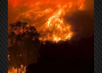 Ferr zjarri në Siçili — 1000 vatra, temperatura ekstreme dhe zjarrfikësit në betejë me flakët