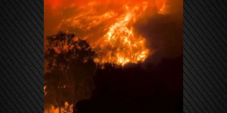 Ferr zjarri në Siçili — 1000 vatra, temperatura ekstreme dhe zjarrfikësit në betejë me flakët