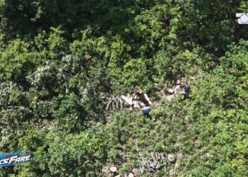 Fiks Fare: Masakër mjedisore në Sevran të Skraparit; firma rrafshon pyllin pa damkosur pemët, punëtorët pranojnë para kamerës