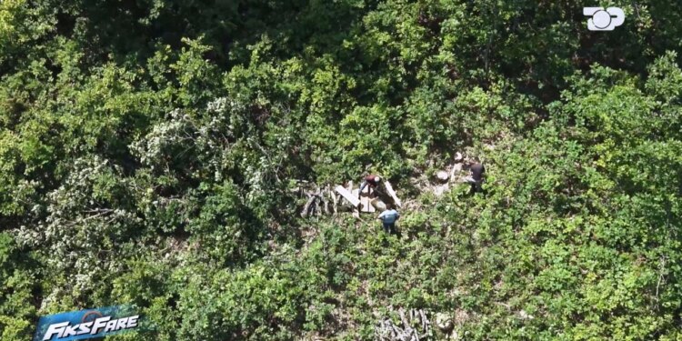 Fiks Fare: Masakër mjedisore në Sevran të Skraparit; firma rrafshon pyllin pa damkosur pemët, punëtorët pranojnë para kamerës