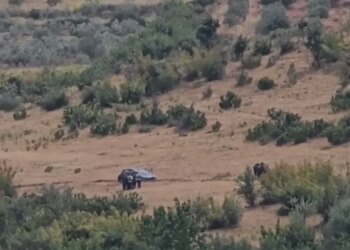 I mbyllur në makinën e tij, autori i krimit në Roskovec vijon të rezistojë ndaj RENEA; snajperistët pozicionohen