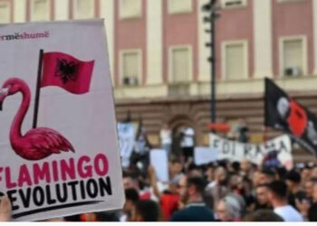 10 arsyet pse u shua Revolucioni i Flamingove