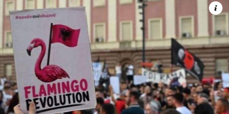 10 arsyet pse u shua Revolucioni i Flamingove