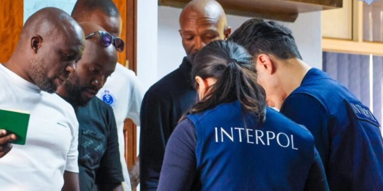 Interpoli çmonton rrjetet ndërkombëtare të mashtrimit, 5,800 arrestime dhe 300 milionë dollarë të sekuestruara