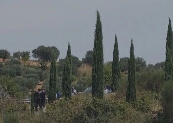 Ish-fejuari e mor peng pasi vrau babain dhe plagosi nënën e saj; 24-vjeçarja dëshmon në polici, nëna kritike