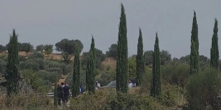 Ish-fejuari e mor peng pasi vrau babain dhe plagosi nënën e saj; 24-vjeçarja dëshmon në polici, nëna kritike