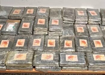 Kapet 111 kg kokainë e fshehur në kabinën e kamionit; tre të arrestuar në Itali, një shqiptar