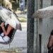 Kapriçot e motit në Itali: 16 qytete në alarm të kuq, paralajmërime stuhie në Lombardi