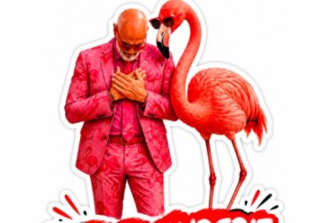 Krah një flamingoje i veshur me kostum rozë, Rama: Faleminderit edhe për sharjet, urrejtësit besnikë janë prova që…