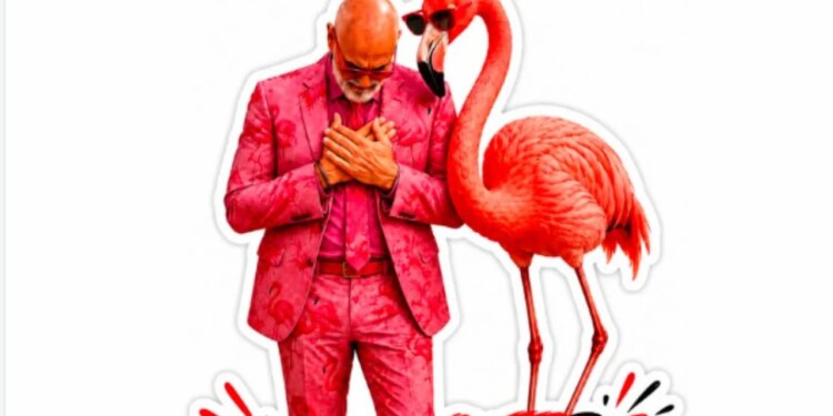 Krah një flamingoje i veshur me kostum rozë, Rama: Faleminderit edhe për sharjet, urrejtësit besnikë janë prova që…