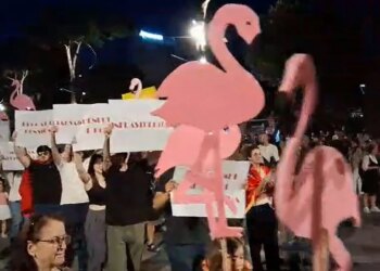Live/ 38 ditë protestë në Tiranë, fjalimet te Kryeministria ndalohen, tubuesit marshojnë në kryeqytet; Shqipëria kërkon revolucion