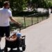 Mbretëria e Bashkuar përballet me temperatura përvëluese, autoritetet: Kujdes, do të zgjasë edhe javën e ardhshme
