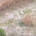 Moti kapriçoz në vend: Korça digjet, Elbasani pushtohet nga stuhia e breshërit
