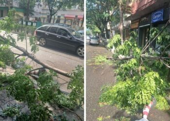 Moti me luhatje humori, në Elbasan stuhi e fortë ere dhe shiu, thyhen pemë dhe dëmtohen shtylla tensioni