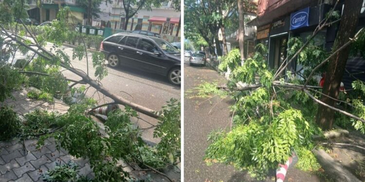 Moti me luhatje humori, në Elbasan stuhi e fortë ere dhe shiu, thyhen pemë dhe dëmtohen shtylla tensioni