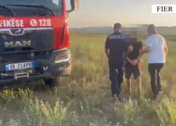 Ndezën zjarr në tokat e tyre bujqësore, flakët dolën jashtë kontrollit; në pranga 58-vjeçari në Fier, procedohet tjetri