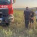 Ndezën zjarr në tokat e tyre bujqësore, flakët dolën jashtë kontrollit; në pranga 58-vjeçari në Fier, procedohet tjetri