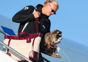 Nga buzëqeshjet te polemikat: Haaland bëhet viral me rakunin prej pellushi, aktivistët e kritikojnë ashpër