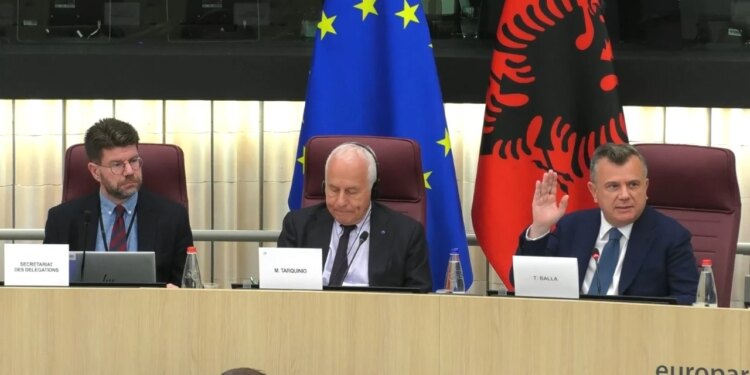 PD voton kundër rezolutës së integrimit në mbledhjen me PE; Na rrëzuan amendamentet, PS: Tentuan të deformonin dokumentin