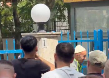 Pas shoqërimit nga policia gjatë protestës, lirohen organizatori Arben Kola dhe një protestuese