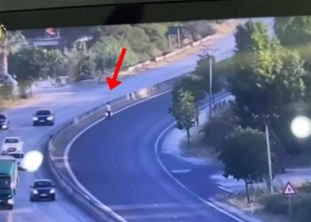 Policia e Fierit publikon masat e reja për këmbësorët, apel për përdorimin e mbikalimeve