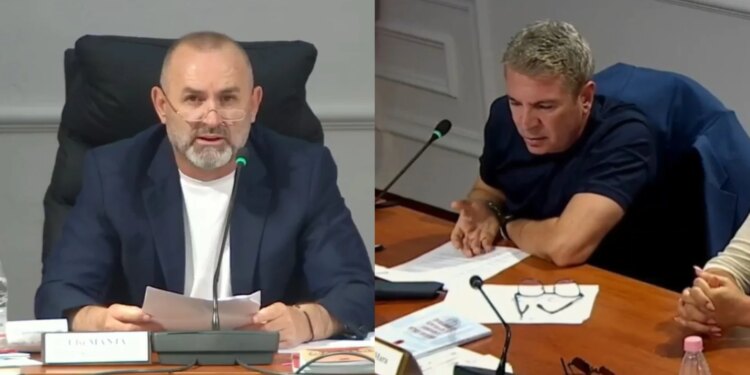 Projektligji për tokat bujqësore, Gjiknuri kundër: Më jep fjalën ose largohem. Manja: Mund të ikësh, e gjete lepurin