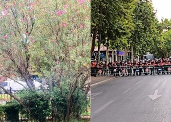 Protestë para Parlamentit, Forcat e Policisë rrethojnë zonën; autobotët me ujë në gatishmëri