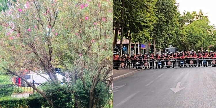 Protestë para Parlamentit, Forcat e Policisë rrethojnë zonën; autobotët me ujë në gatishmëri
