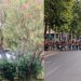 Protestë para Parlamentit, Forcat e Policisë rrethojnë zonën; autobotët me ujë në gatishmëri