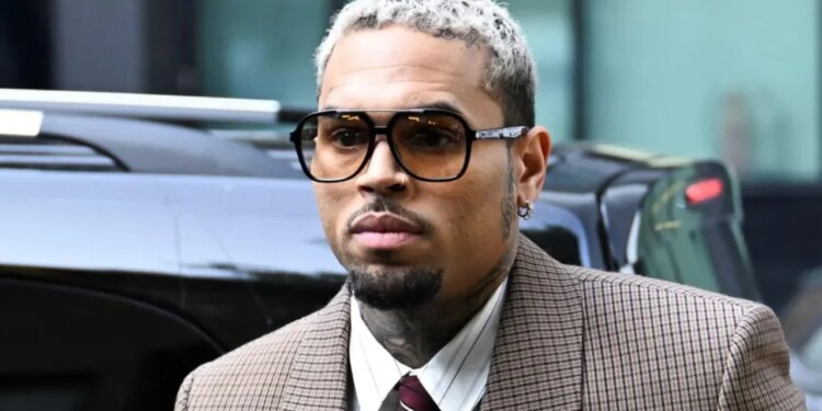 Qeni i Chris Brown kafshoi pastruesen; ai urdhërohet të paguajë 12.9 milionë dollarë dëmshpërblim, e bleu për siguri