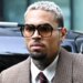 Qeni i Chris Brown kafshoi pastruesen; ai urdhërohet të paguajë 12.9 milionë dollarë dëmshpërblim, e bleu për siguri