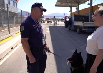 Si stërviten për muaj qentë e njësisë K9 për nuhatjen e drogës, lëndëve plasëse, armëve e parave