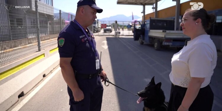 Si stërviten për muaj qentë e njësisë K9 për nuhatjen e drogës, lëndëve plasëse, armëve e parave